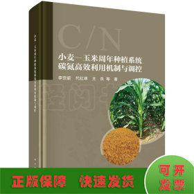 小麥-玉米周年種植系統(tǒng)碳氮高效利用機(jī)制與調(diào)控
