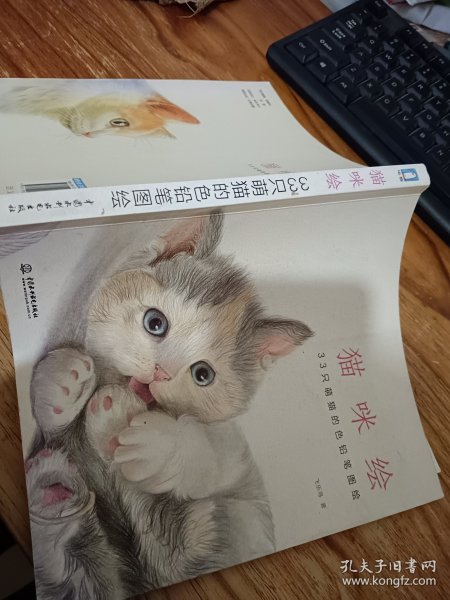 猫咪绘：33只萌猫的色铅笔图绘