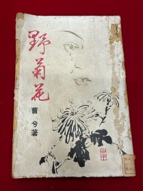 野菊花