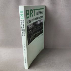 【正版二手】BRT高架桥下超薄超长空中钢构自行车桥建设技术