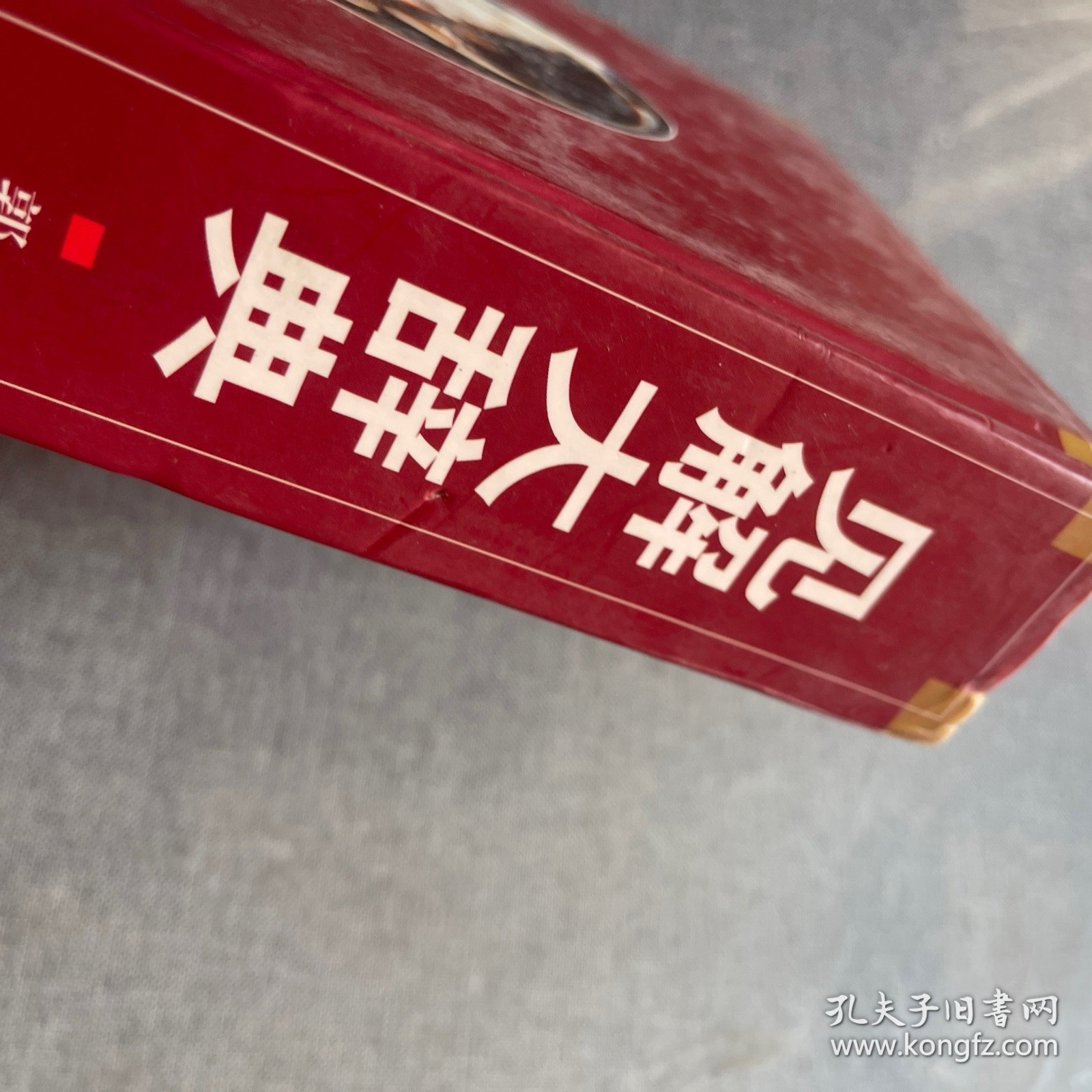 见解大辞典:豪华彩色插图本