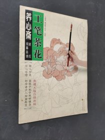 工笔牡丹