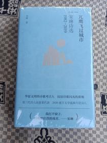 兀鹰飞过城市：宋琳诗选1982-2019