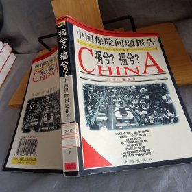 祸兮?福兮?:中国保险业问题报告