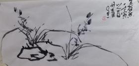 丹青兰花草花瓶