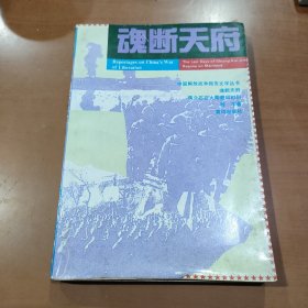 魂断天府:蒋介石在大陆最后时刻