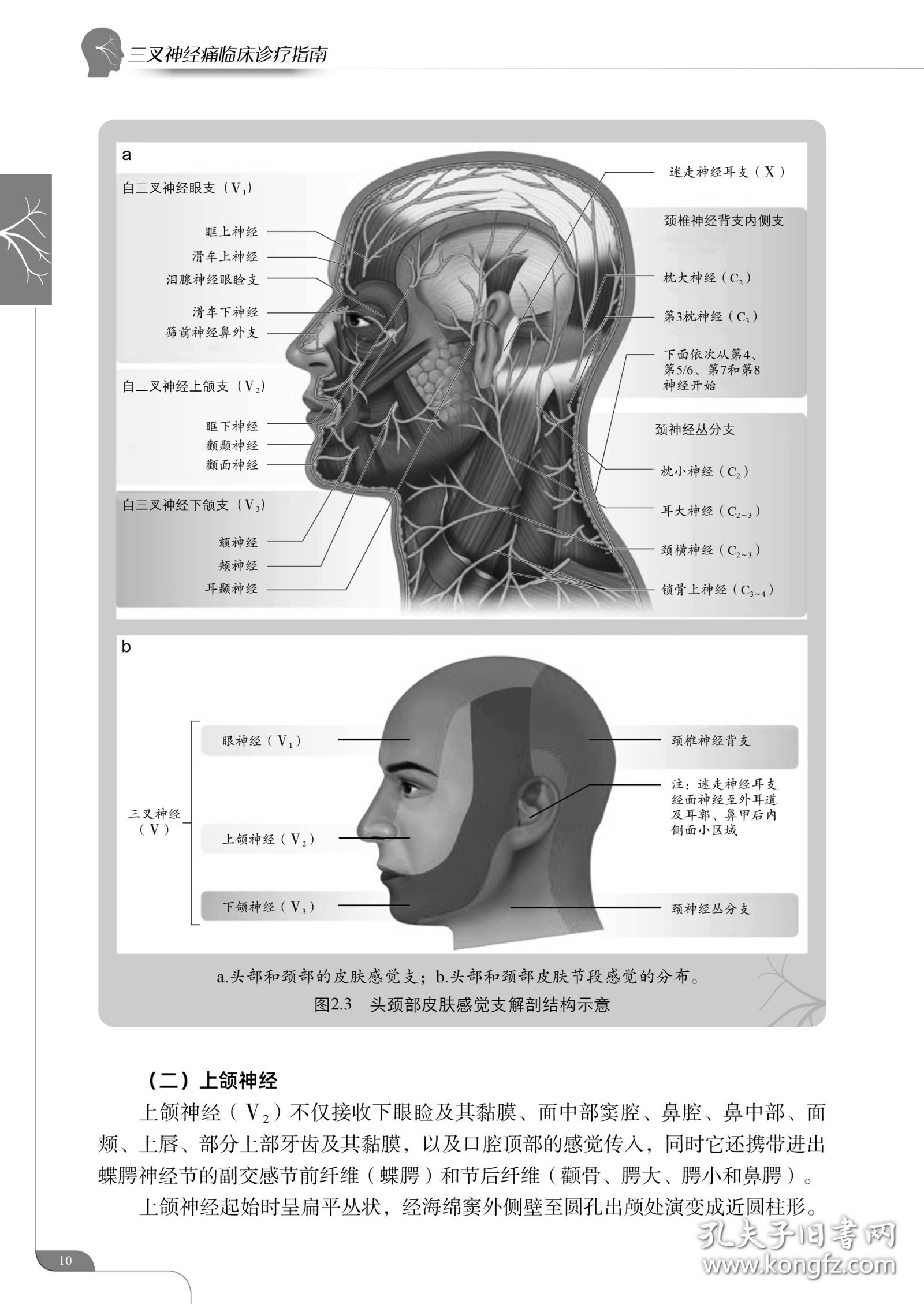 三叉神经痛临床诊疗指南9787523511275