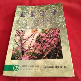 金叶情怀
