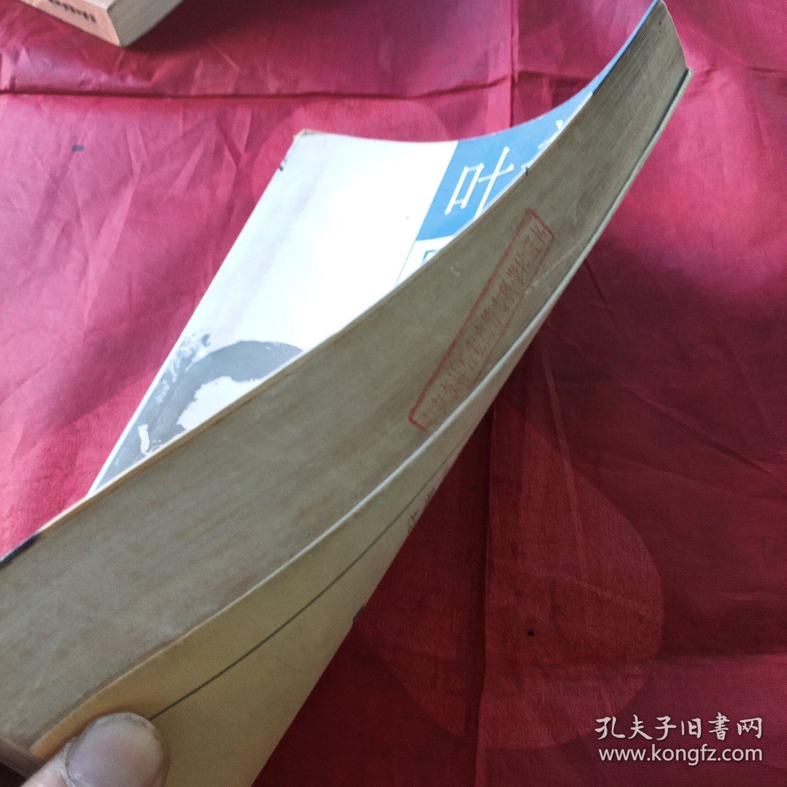 叶永烈目击历史：名人照相册