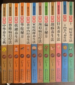 图解中医养生书系（十二时辰养生法 二十四节气养生法 针灸养生法 刮痧养生法 偏方秘方 颈肩病自疗法 家庭按摩养生法 黄帝内经养生法 华佗秘方 拔罐养生法 脊椎病自疗法 中华养生宝典）白话精解 共12本 合售
