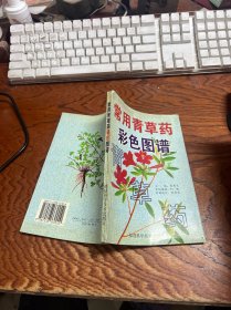 常用青草药彩色图谱