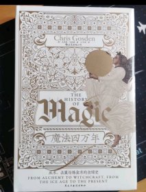 智慧宫丛书017·魔法四万年：克里斯·戈斯登著 《耶路撒冷三千年》作者西蒙·蒙蒂菲奥里倾情推荐 巫术、占星与炼金术的全球史