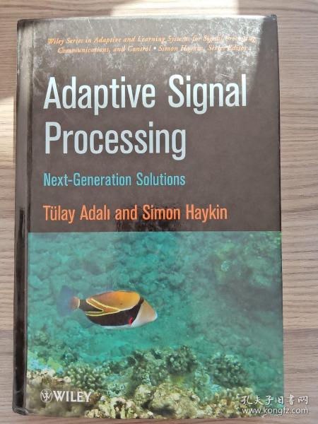 adaptive signal processing