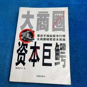 大商圈·资本巨鳄