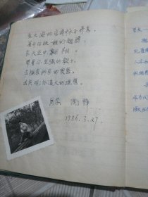 同学毕业留影纪念照