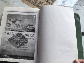 中国税务报 （1999年合订本） 下卷