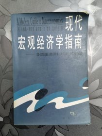 现代宏观经济学指南