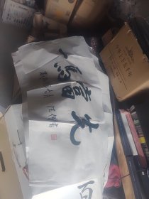 陈法僧将军书法大概5平尺