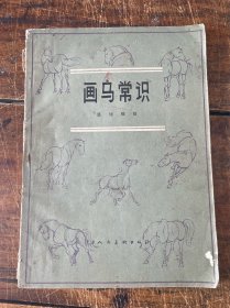 画马常识