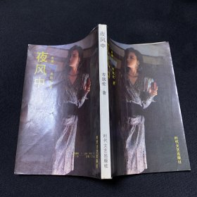 夜风中