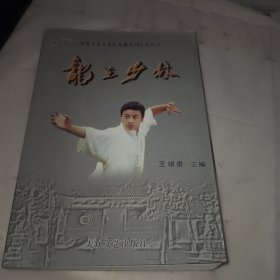 少林寺小龍院校校報校刊作品集萃：龍在少林