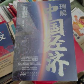 正版塑封理解中国经济：在大变局中读懂新机遇