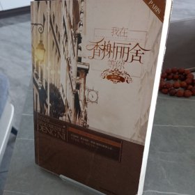我在香榭丽舍等你