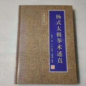 杨式太极拳术述真