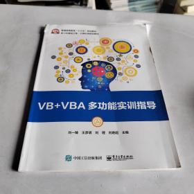 VB+VBA多功能实训指导
