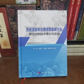 历史遗留采冶废渣重金属污染原位控制技术理论与实践