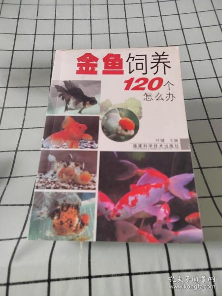 金鱼饲养120个怎么办