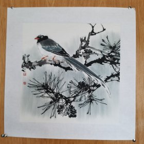 中国美协会员，著名花鸟画家，十四届全国美展入选画家陈薪名花鸟精品保真。有合影视频。