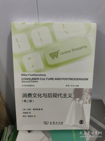 消费文化与后现代主义(文化和传播译丛)
