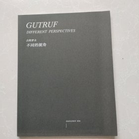 古特罗夫 不同的视角