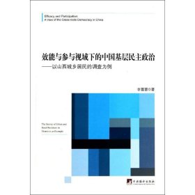 效能與參與視域下的中國基層民主政治