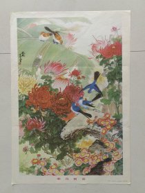 菊花与黄雀