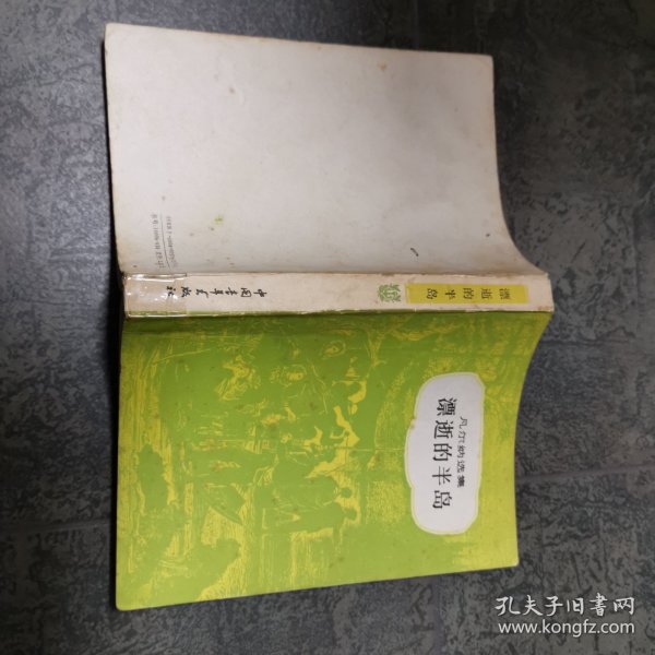 凡尔纳选集 飘逝的半岛