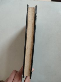 激进的理想与美国之梦：大萧条岁月中的文化和社会思想（精装）