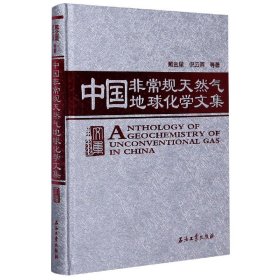 中国规天然气地球化学文集(精)
