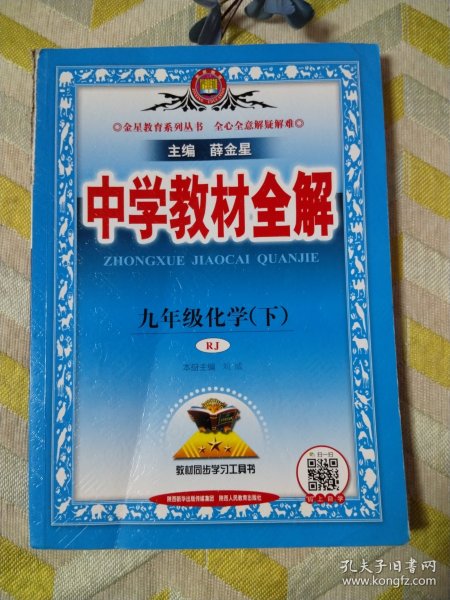 中学教材全解 九年级化学下 人教版 2017春