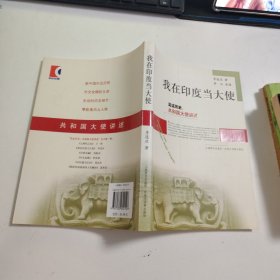 我在印度当大使 F625