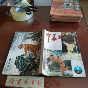 中华武术（创刊号）