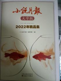 小说月报（大字版）2022年精品集