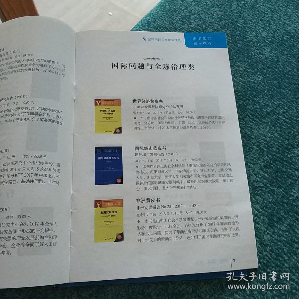 皮书系列