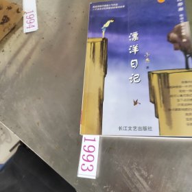 漂洋日记