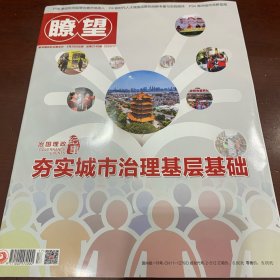 瞭望 2025/17