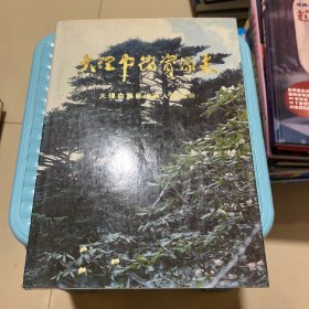 大理中药资源志