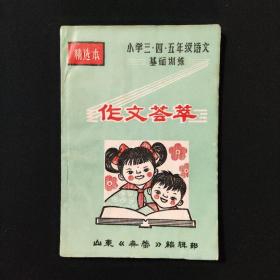作文荟萃 小学三四五年级语文基础训练