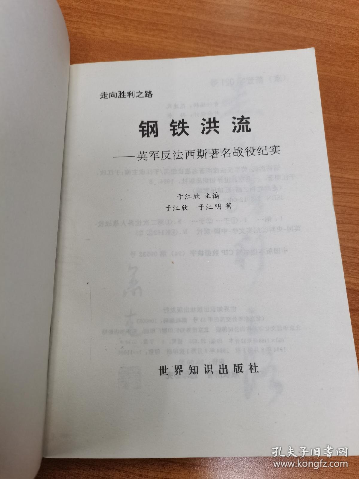 二战纪实丛书走向胜利之路：钢铁洪流—英军反法西斯著名战役纪实