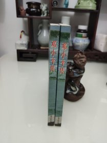 邓小平传